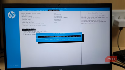 BIOS storage detection should show the correct drive model and capacity