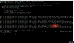 OliveTin service running and listening port 1337