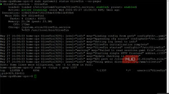OliveTin service running and listening port 1337