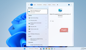 Opening performance options window on PC