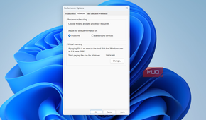 Performance options advanced tab on PC