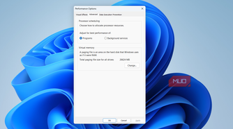 Performance options advanced tab on PC