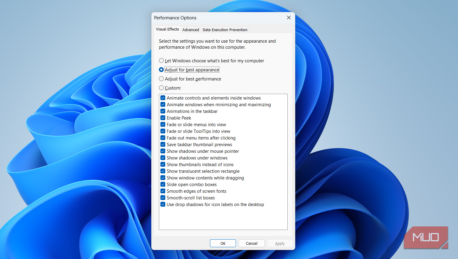 Performance options window on PC