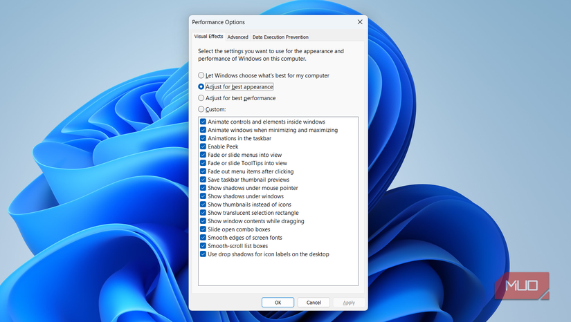 Performance options window on PC