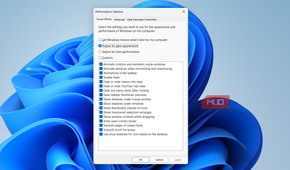 Performance options window on PC
