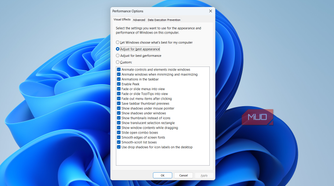 Performance options window on PC