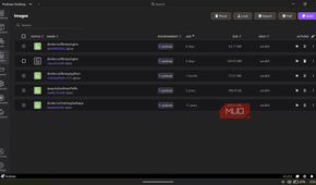 Podman Desktop application displaying the Images screen.