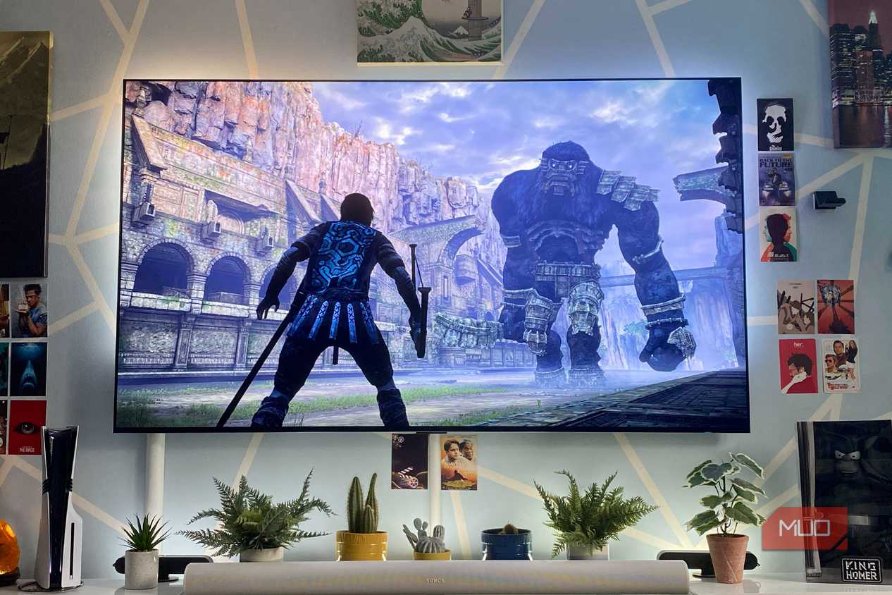 Shadow of the Colossus on a PS5 Pro