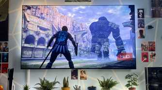 Shadow of the Colossus on a PS5 Pro