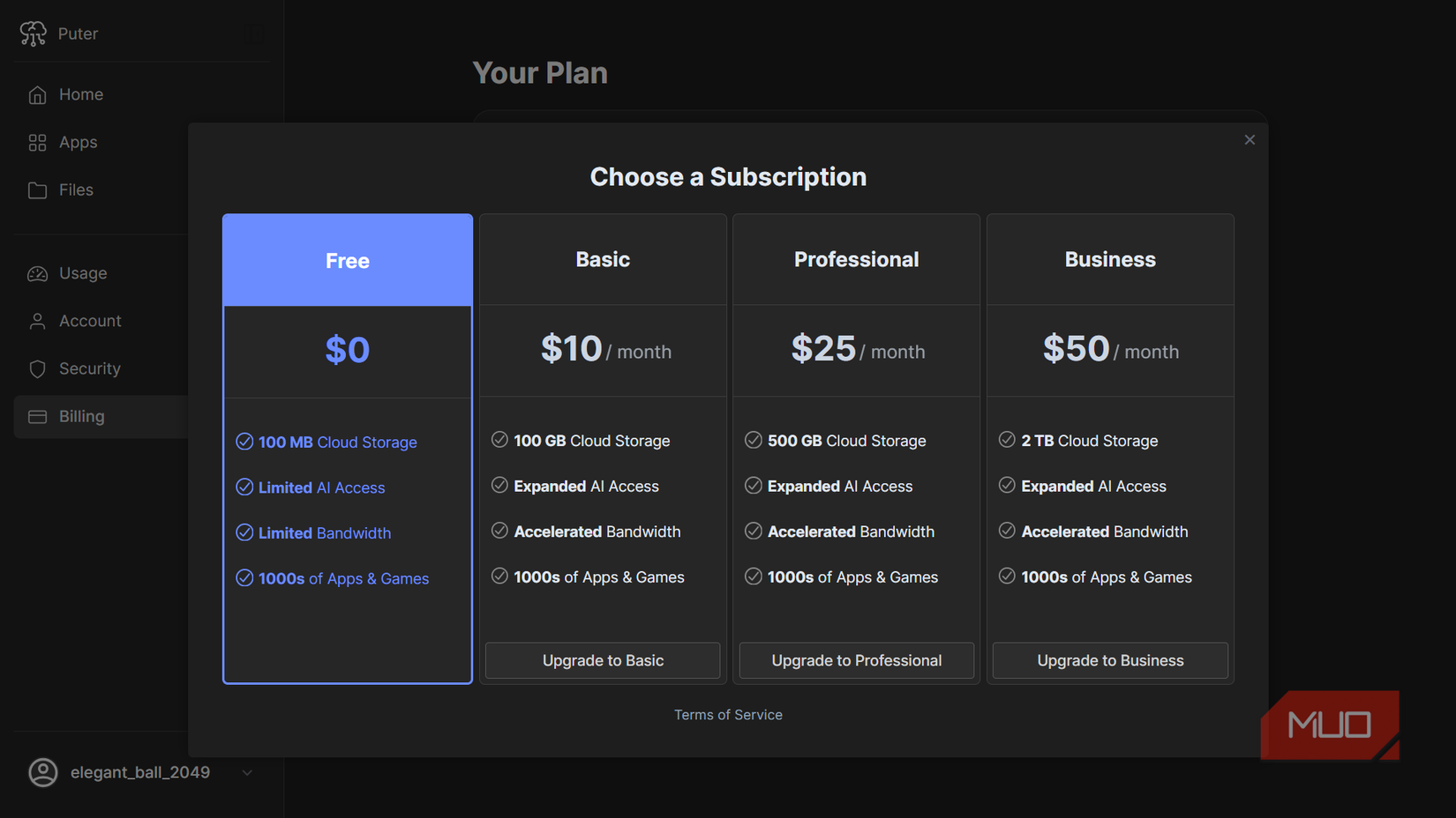 Pewter Pricing Plan.