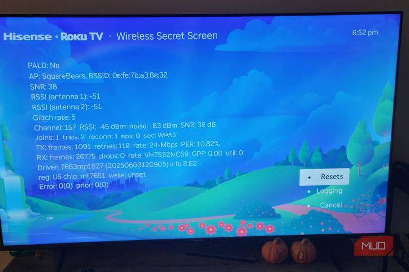 Roku's Wireless secret screen showing the options