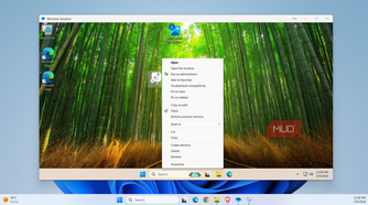 Run app as admin in Windows Sandbox