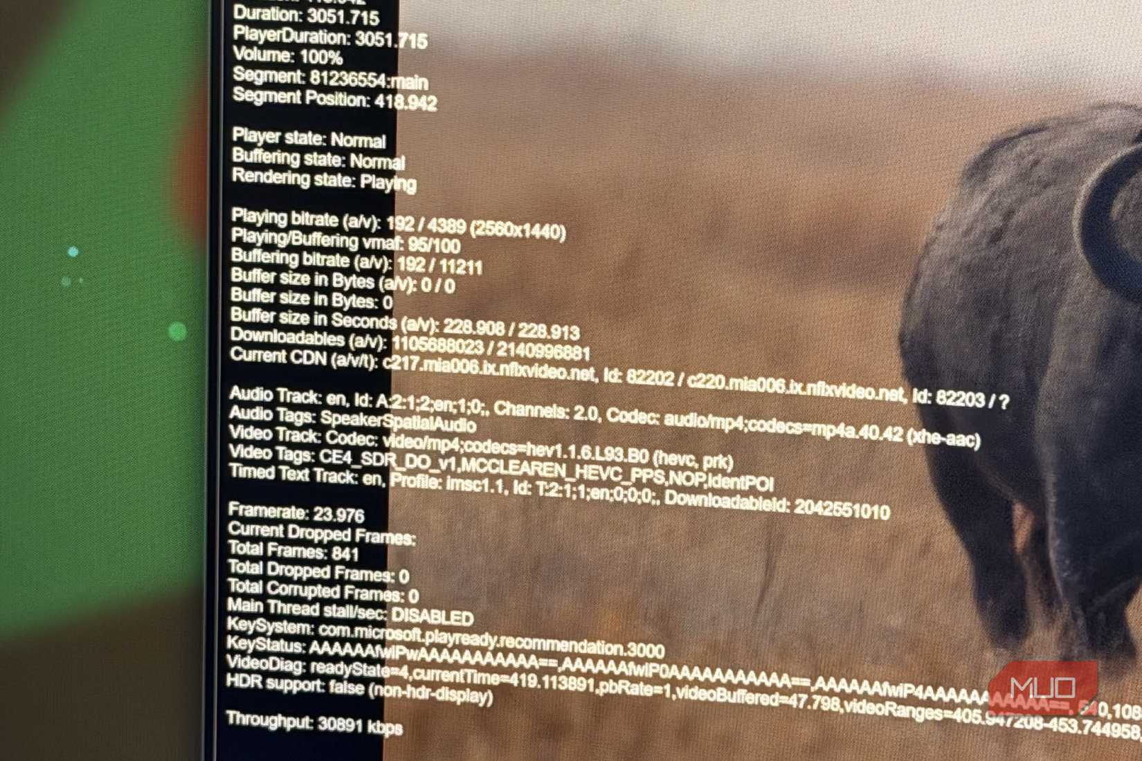 Stream stats of a 4K show on Netflix