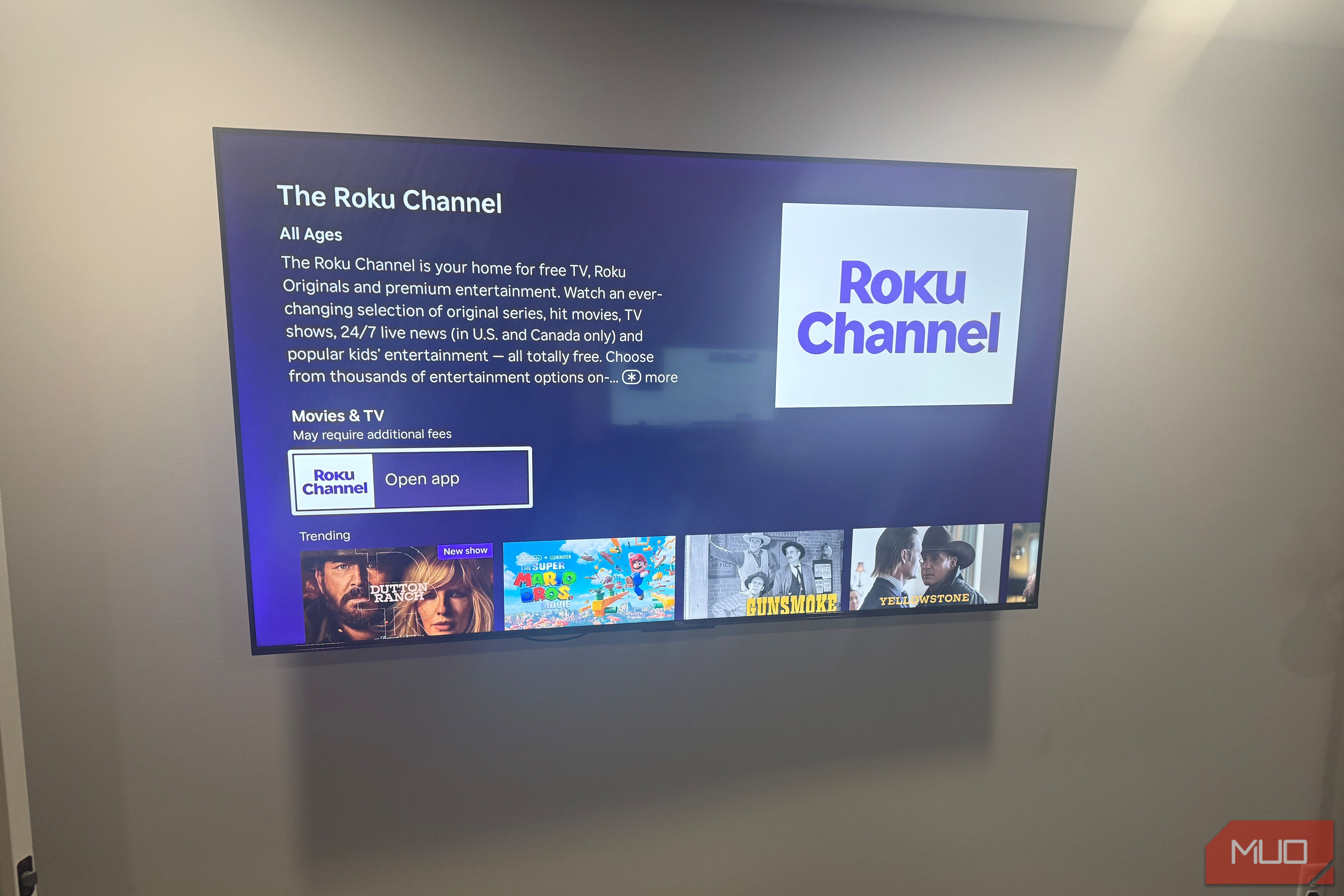 I found Roku channels that aren’t in the store, and they're actually ...