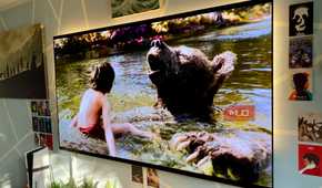 The Jungle Book (2016) on 4K Blu-ray