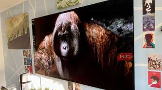 The Jungle Book (2016) on 4K Blu-ray
