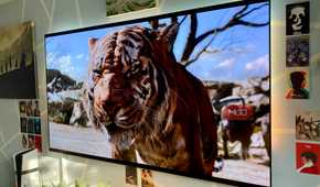 The Jungle Book (2016) on 4K Blu-ray