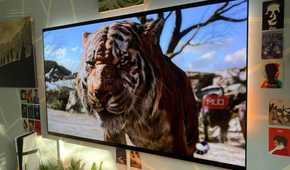 The Jungle Book (2016) streaming on Disney Plus