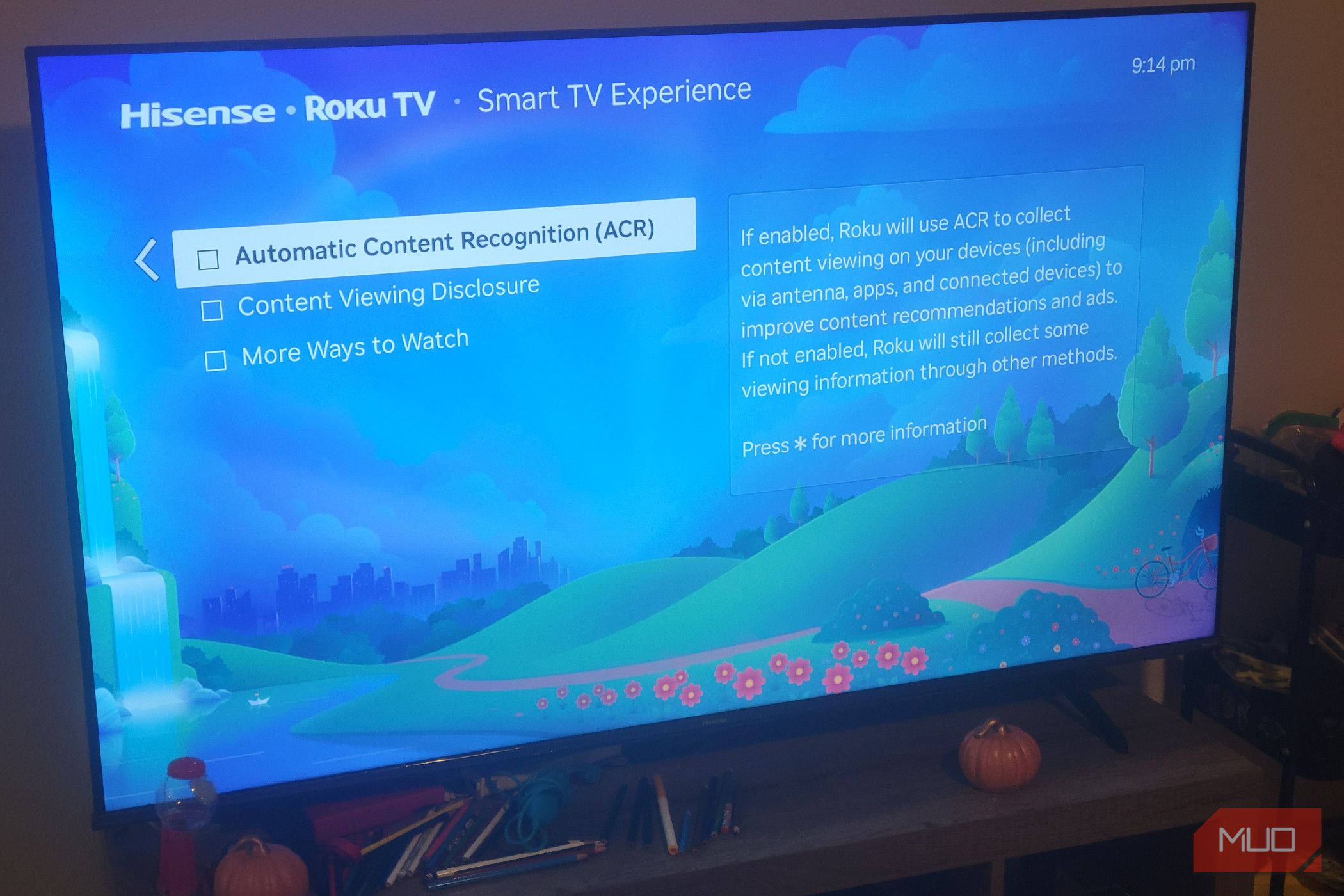 The Menu options on a Roku