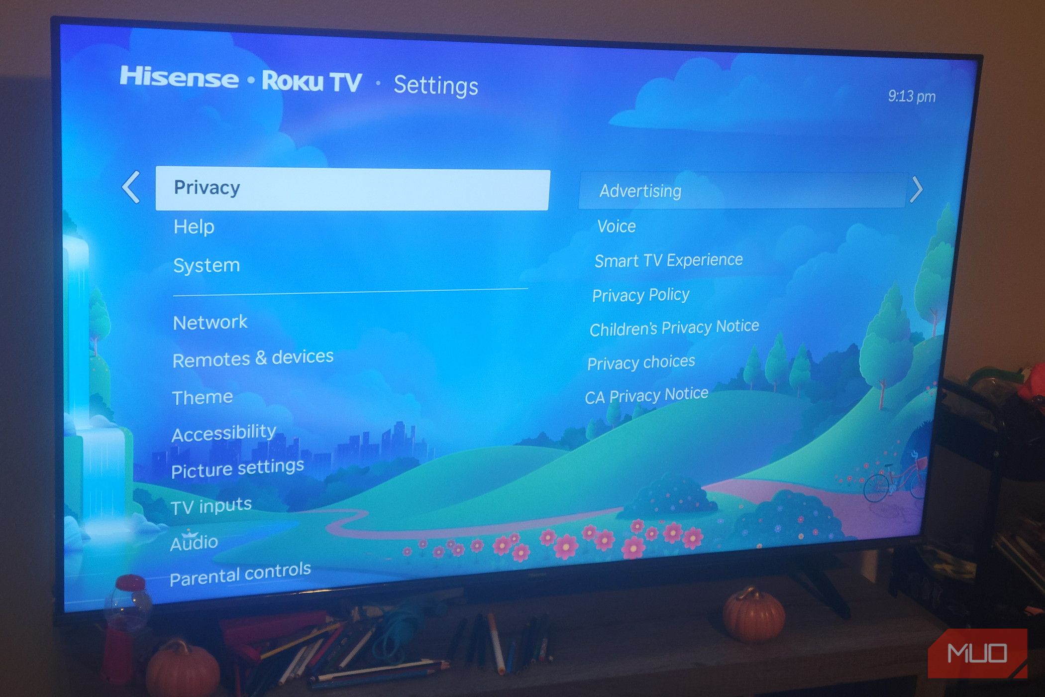 The Privacy Menu on a Roku