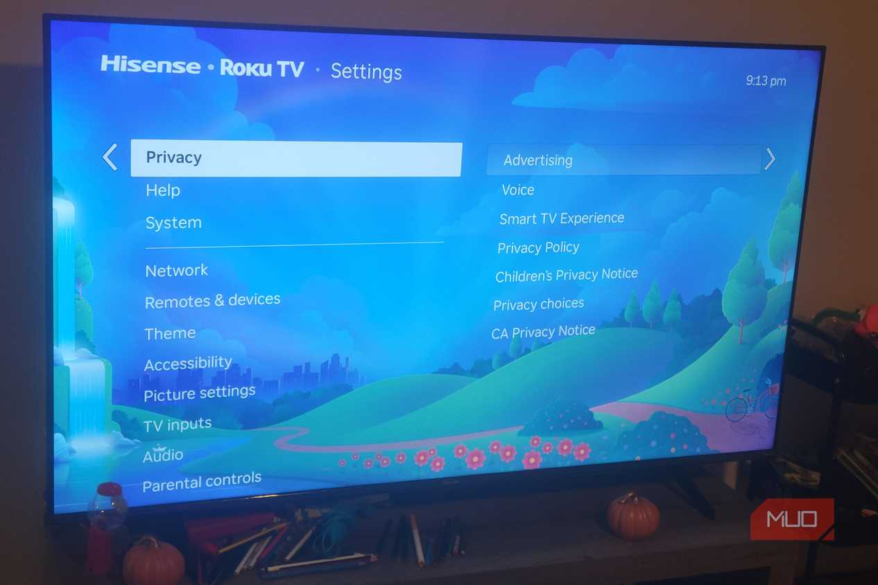The Privacy Menu on a Roku