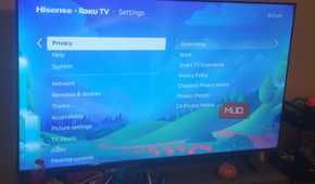 The Privacy Menu on a Roku