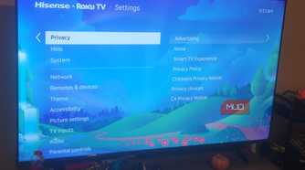 The Privacy Menu on a Roku