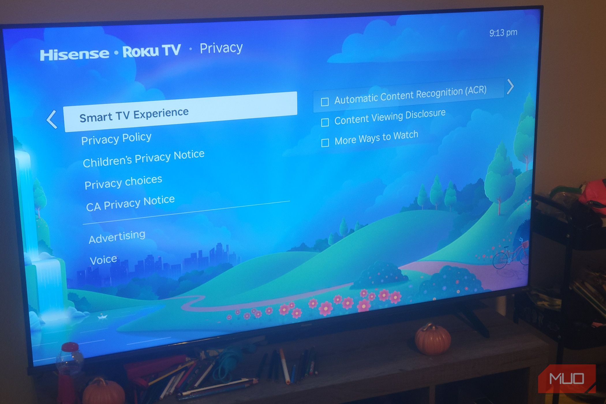 The Smart TV Experience Menu on a Roku