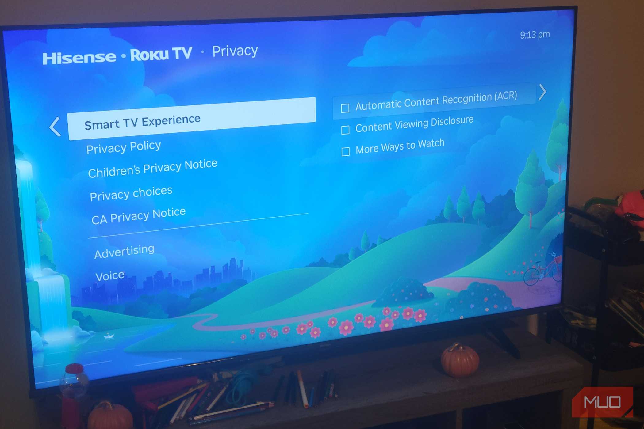 The Smart TV Experience Menu on a Roku
