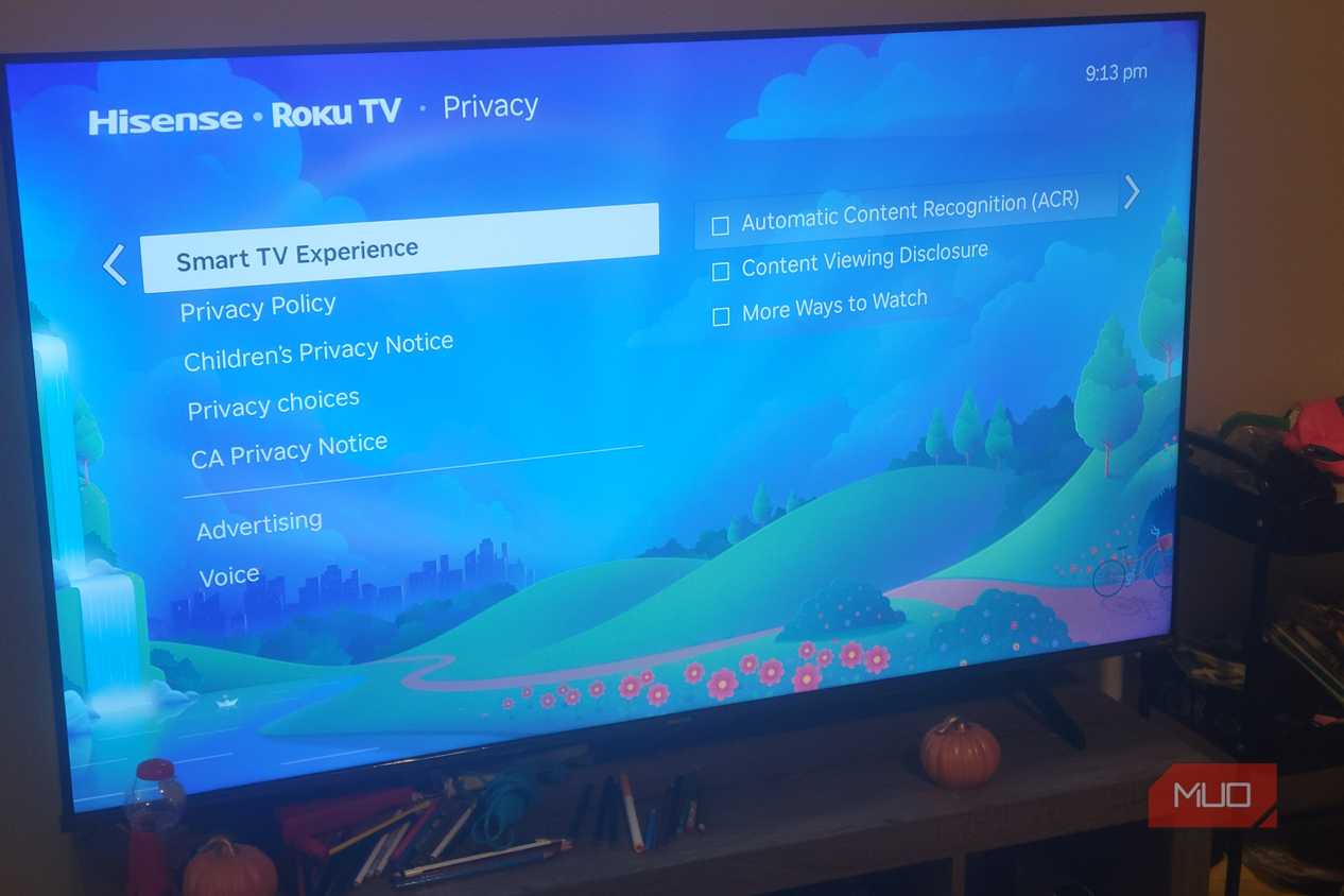 The Smart TV Experience Menu on a Roku