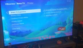 The Smart TV Experience Menu on a Roku