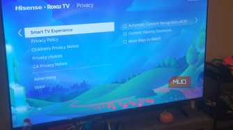 The Smart TV Experience Menu on a Roku