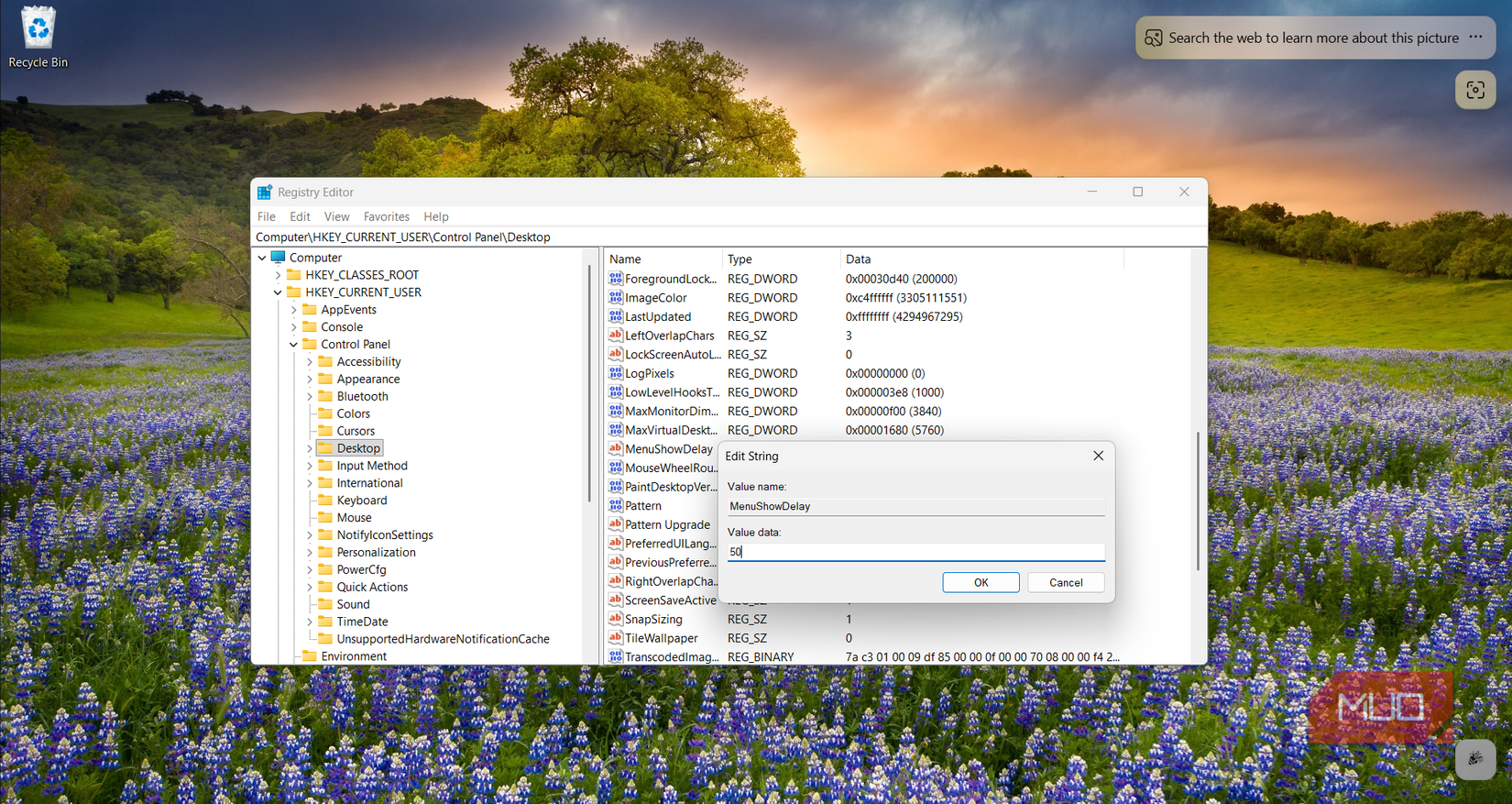 Tweaking Menu Hover Speed ​​via Registry Editor