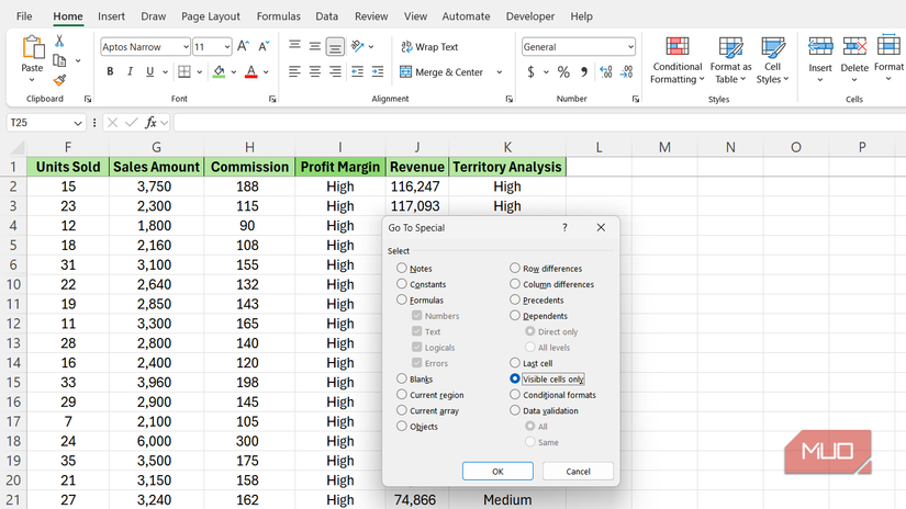 Visible cells only option selected in Go To Special dialog box in Excel.