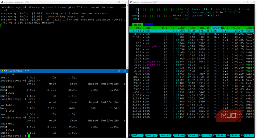 Memory stress test showing SWAP usage under load