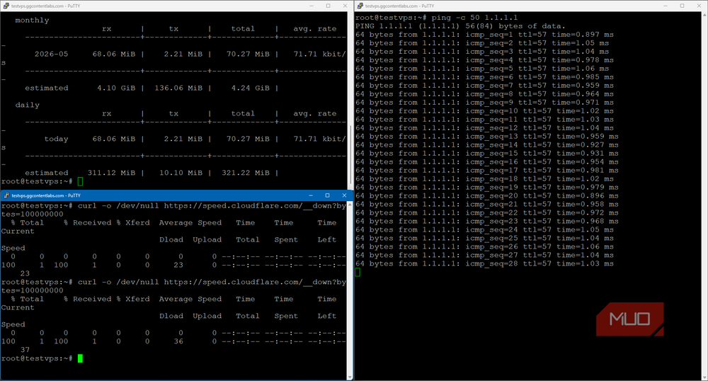 Network testing with vnstat and ping
