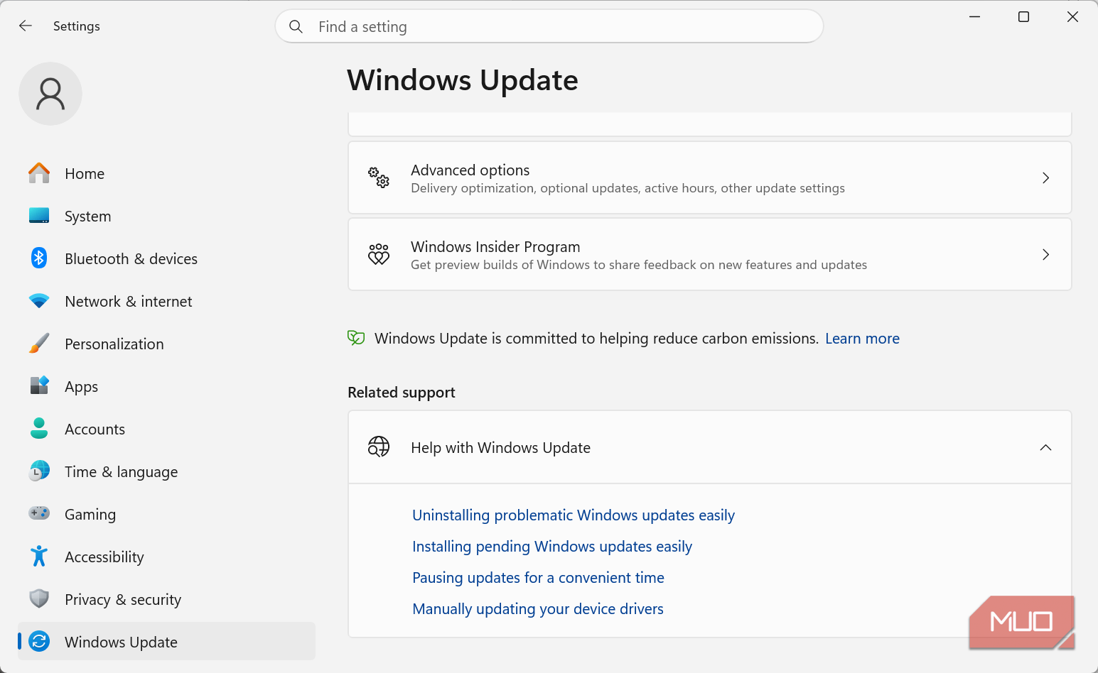 Windows Update advanced options