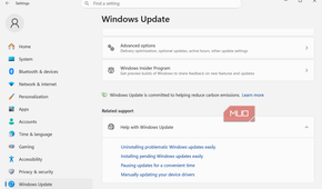 Windows Update advanced options
