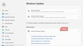 Windows Update advanced options