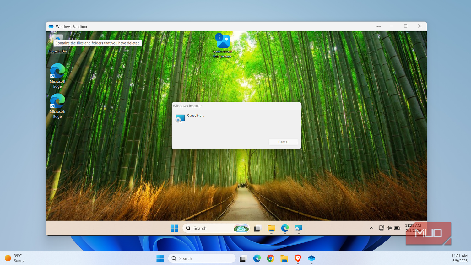 Windows Sandbox showing app installing dialog