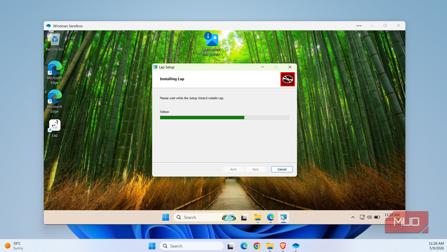 Windows Sandbox showing installation wizard