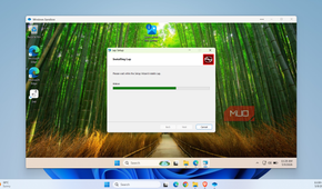 Windows Sandbox showing installation wizard