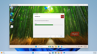 Windows Sandbox showing installation wizard