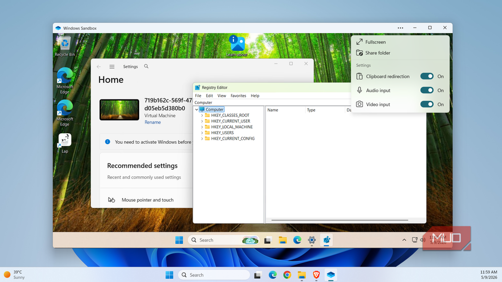 Windows Sandbox configuration options