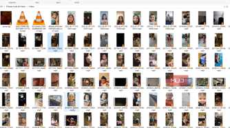 A bunch of videos showing the VLC player