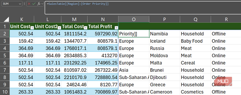 A formula in Excel's formula bar with double brackets that returns a block of adjacent columns.
