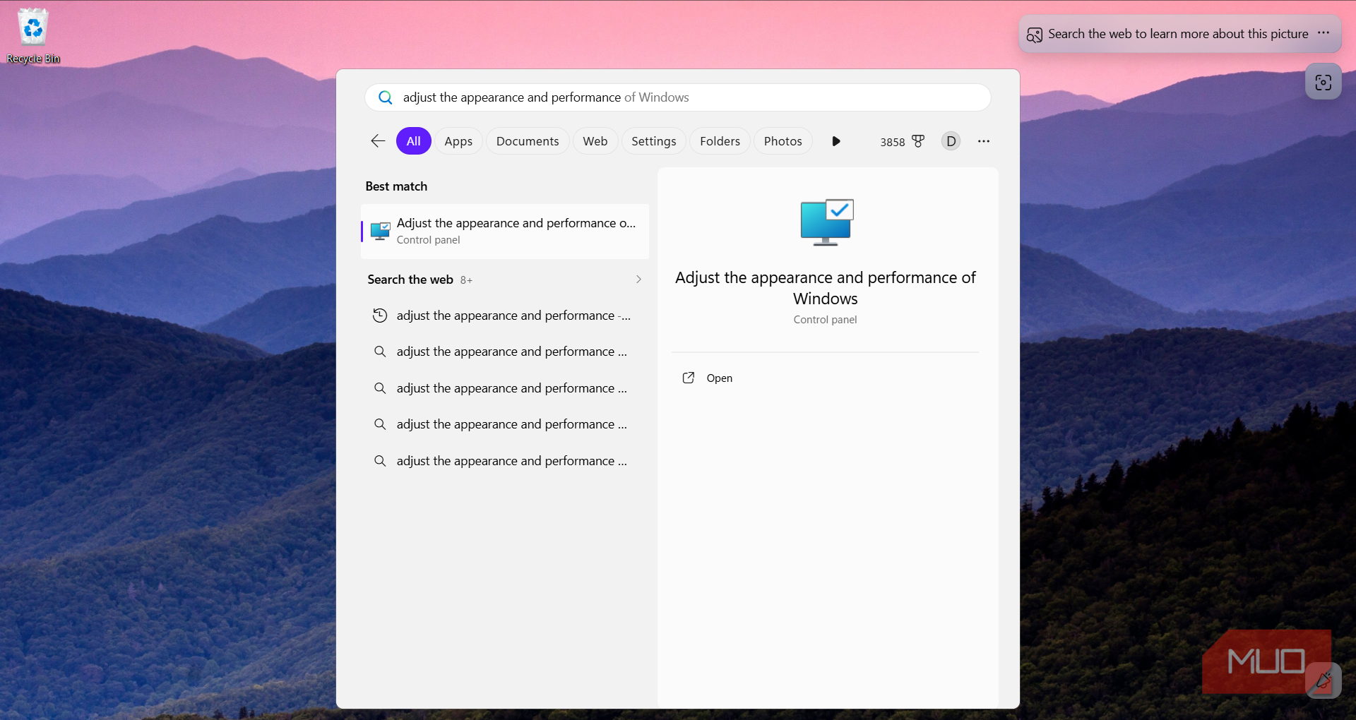 Adjust appearance and performance search result