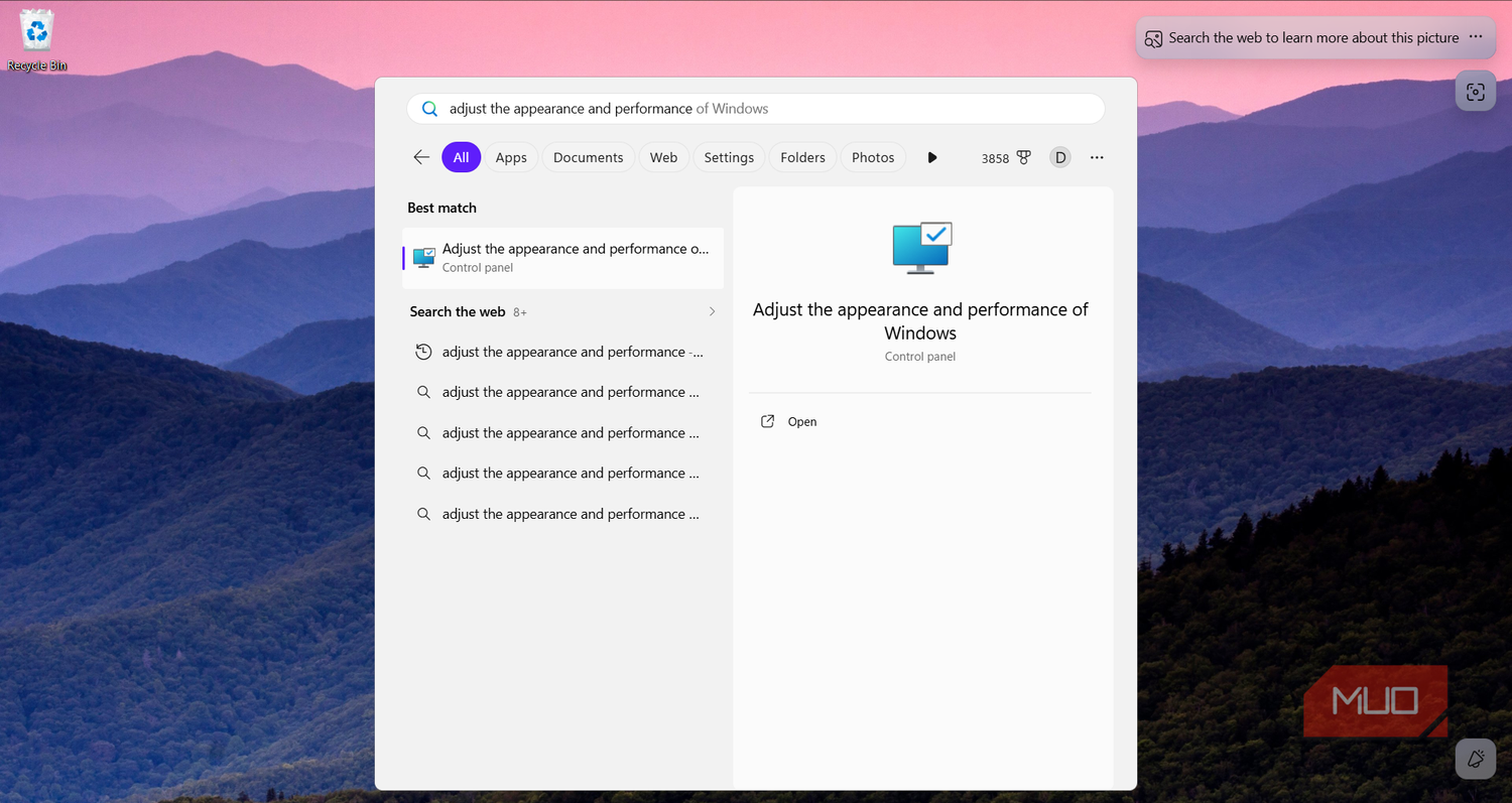 Adjust appearance and performance search result