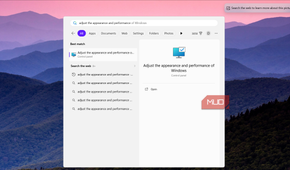 Adjust appearance and performance search result