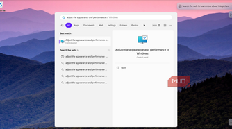 Adjust appearance and performance search result